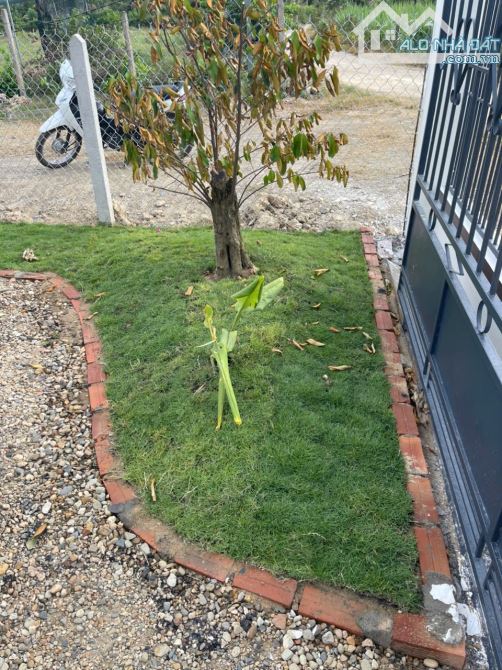 Chủ kẹt tiền cần bán Fram Diên Khánh tâm huyết tại diên đồng  879 triệu  👉Diện tích 500 M - 7