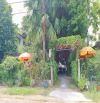 Bán đất đường số 10 View sông Sài Gòn P Hiệp Bình Chánh gần chợ Thủ Đức (550m2) 47 tỷ