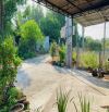 Bán lô đất mặt tiền đường Chuông Quýt xã  Phước Thuận nay là xã Hồ Tràm, tp Hồ Chí Minh