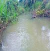VƯỜN TRÁI CÂY VIEW SUỐI, MẶT TIỀN ĐƯỜNG NHỰA, SẴN NHÀ TUYỆT ĐẸP, GIÁ CHỈ 550 TRIỆU/SÀO