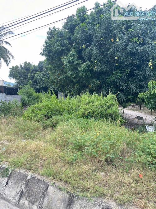 Chu Cần bán lô đất hai mặt tiền QUỐC LỘ 1 CAM HẢI TÂY CAM LÂM