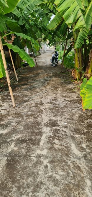 Đất tuyến 2 trục chính Lương Quán – Mỹ Tranh, ô tô ra vào chỉ hơn 1 tỷ đồng