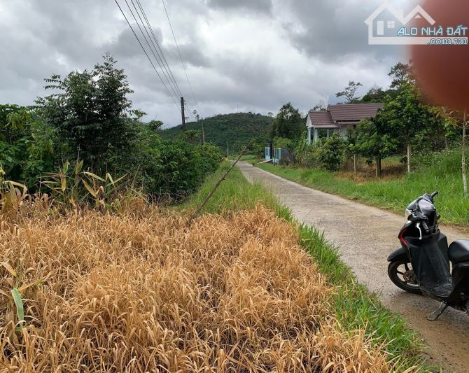 Bán đất giá rẻ thôn 10A Lộc Thành, nay là xã Bảo Lâm 3