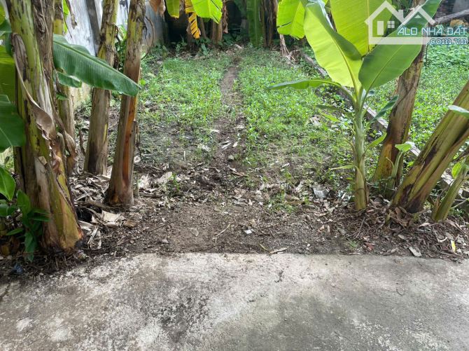 💥 LÔ ĐẤT 45.5M² HẠ MỖ – SÁT KHU ĐẤU GIÁ N1 – GIÁ MỀM!
