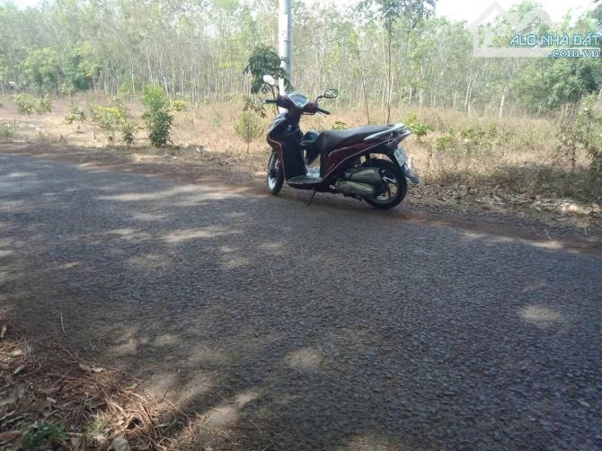 870 triệu cho nền đất 254m2 100m thổ cư ,chính chủ