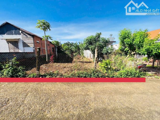 🔥 Siêu Phẩm Đất Lý – Tân An, Cách Quốc Lộ Chỉ 100m, Diện Tích Khủng 527m²!