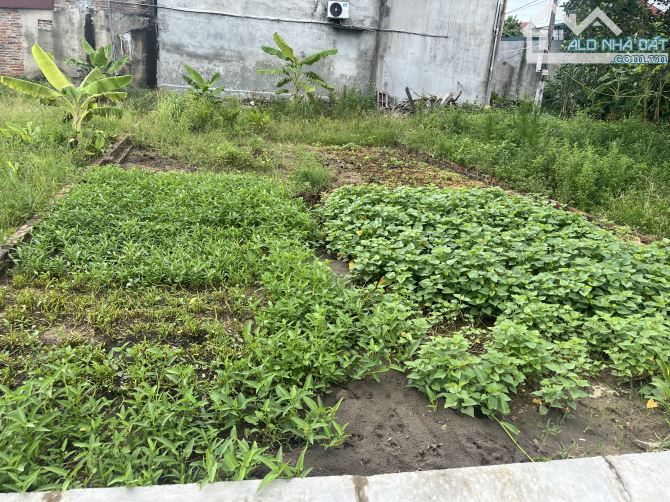 Sóc Sơn 80m chỉ hơn 2 tỏi. View bờ hồ. Cực phẩm về vị trí.