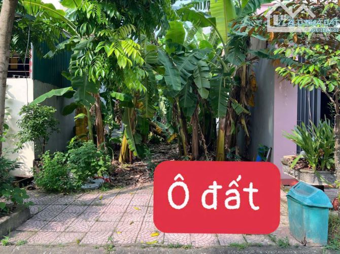Bán đất tại khu phân lô Giàn Chiếu, Hợp Thịnh, Tam Dương, Vĩnh Phúc