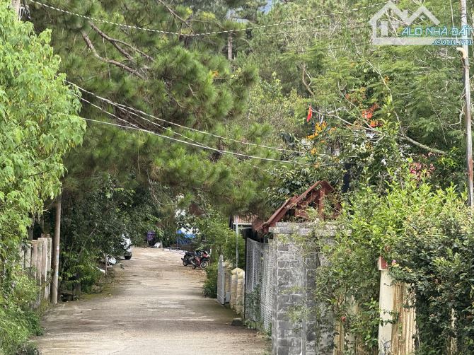 Bán đường Trần Quang Diệu, Phường 10, Đà Lạt view đẹp vĩnh viễn ngay Dinh I