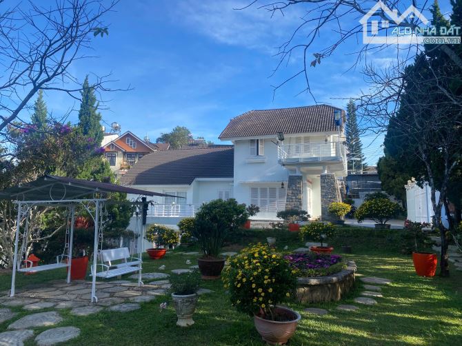 Đất lớn view đẹp Hoàng Hoa Thám Đà Lạt Thích hợp kinh doanh