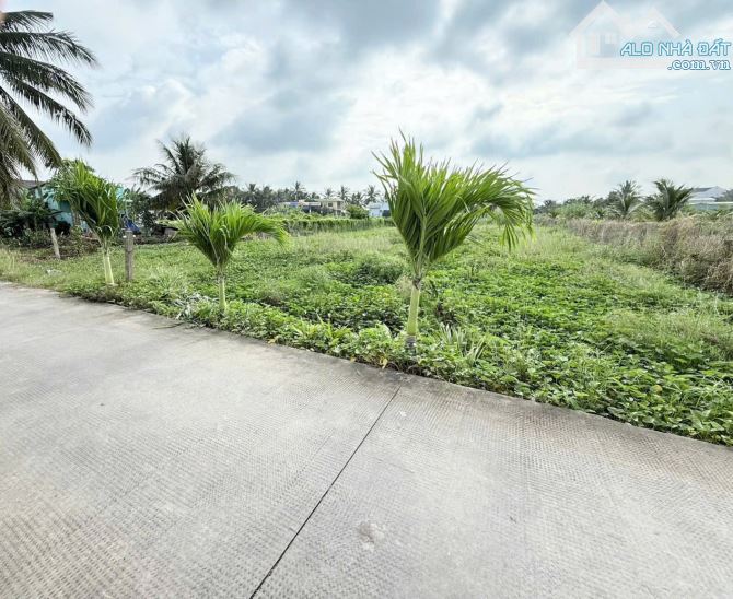 ✅ Bán 2 lô F0 đất thổ cách 827B 70m Thuộc Phú Xuân 2 , Phú Ngãi Trị ,Châu Thành _ DT: 5x30
