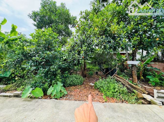Giá Rẻ Nhất Bình Yên – Đất Vuông Vắn 64,9m², Đường Ô Tô, Sổ Hồng Hà Nội