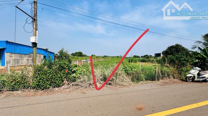 🔺XÃ ĐẤT ĐỎ TP HỒ CHÍ MINH CÁCH BIỂN HỒ TRÀM 15phút   DT 1000m2 có 100tc ngang 11,4x89m  ✅