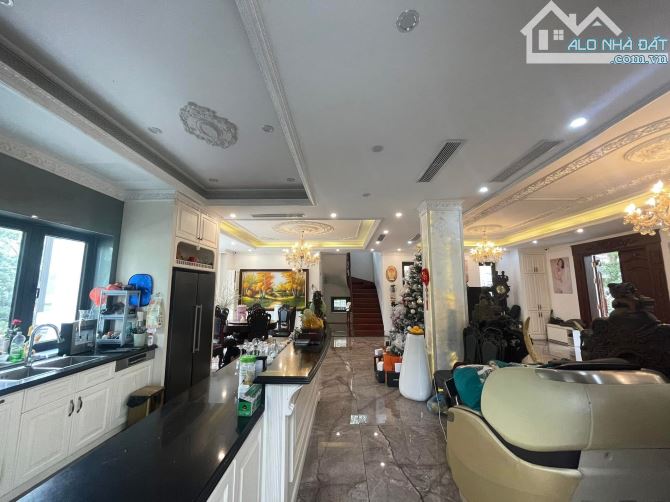 Siêu biệt thự 367m, dành cho giới tinh hoa, hiếm nhà bán VINHOMES RIVERSIDE - 10