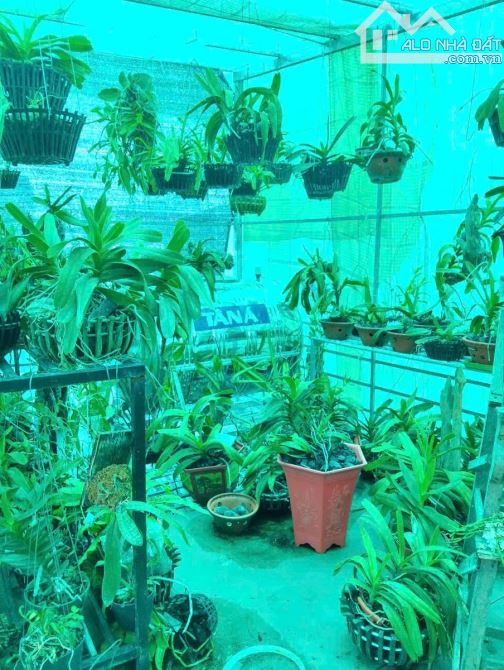 Bán Nhà Bùi Xương Trạch – 47m² – 5 Tầng – Ô Tô – 9 Tỷ - 11