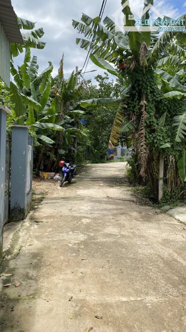 BÁN ĐẤT Ở THÔN PHÚ THƯỢNG – HÒA SƠN – Ô TÔ TỚI TẬN NƠI – CHỈ 1,25 TỶ - HVG002 - 1