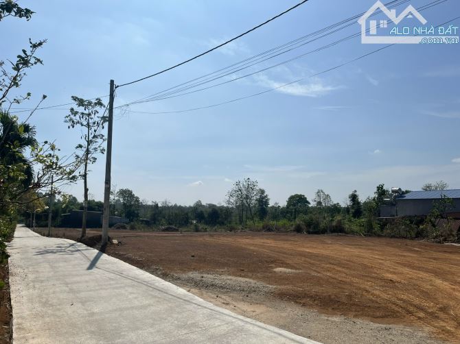 Kẹt tiền cần bán miếng đất thuộc xã Bĩnh Giã, TP HCM - 1