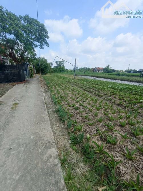 CẦN BÁN LÔ ĐẤT VƯỜN 2300m2 CÓ 600m2 THỔ CƯ CÁCH ĐOÀN NGUYỄN TUẤN 150m - 1