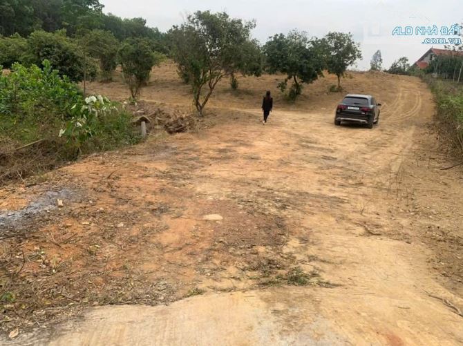 Bán nhanh lô đất 4600m2, view núi nguyên 1 quả đồi, 2 mặt tiền - 1