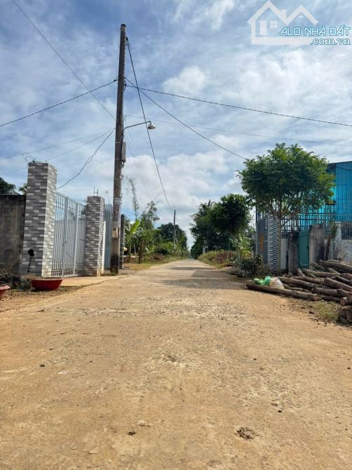 🅿️❇️Đất đương Ka8, Eatu, Phường Tân An, Cách Vành Đai 14-26 chỉ 170m, 900 triệu, 5x20m❇️ - 1