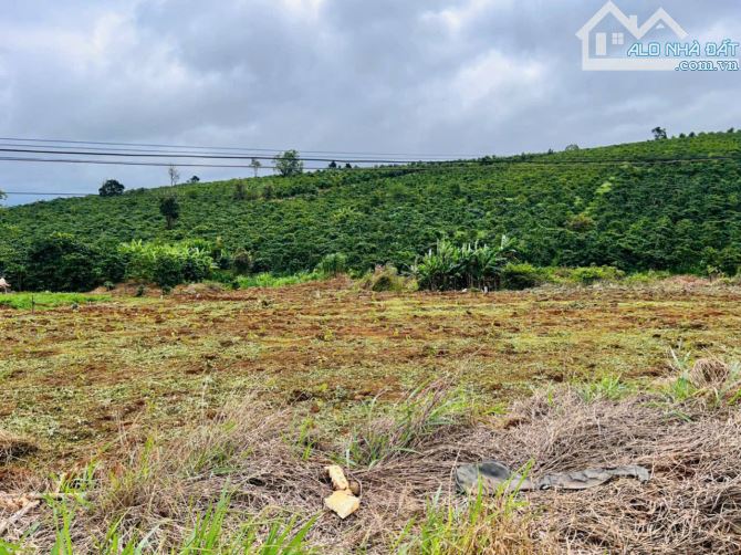 1015m2 ĐẤT NGHỈ DƯỠNG CÁCH CHỦA LINH ẨN CHỈ 1,2KM - 1