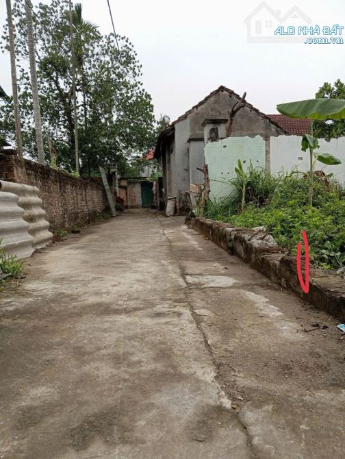 🏡 BÁN LÔ ĐẤT 89.6M² – HẠ MỖ – ĐAN PHƯỢNG – MẶT TIỀN 5M – ĐƯỜNG Ô TÔ! - 1