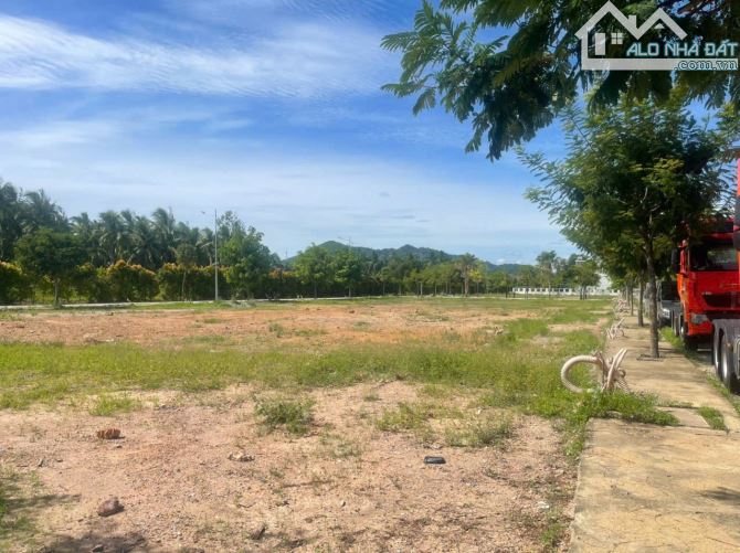 CÓ 1 MẢNH ĐẤT – ĐỂ KHÔNG CÒN PHẢI Ở TRỌ - 1