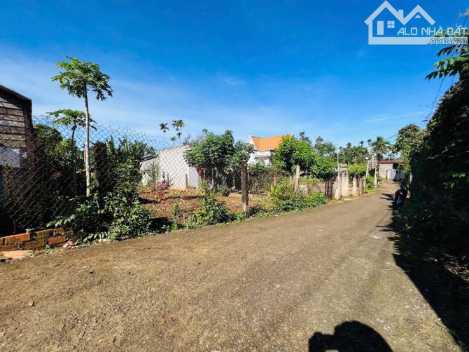 🔥 Siêu Phẩm Đất Lý – Tân An, Cách Quốc Lộ Chỉ 100m, Diện Tích Khủng 527m²! - 1