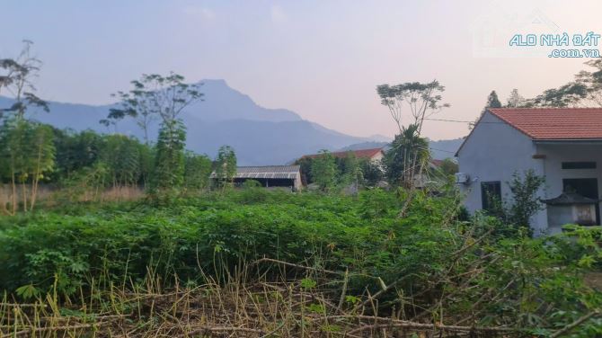Bán đất Minh Quang, gần K9, Ba Trại, Ba Vì, 965m, 250m tc, oto, view đẹp, thoáng, 3.52tỷ - 1