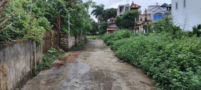 Bán gấp 114m phun thổ cư đất trung tâm thị trấn Xuân Mai, Hà Nội - 1