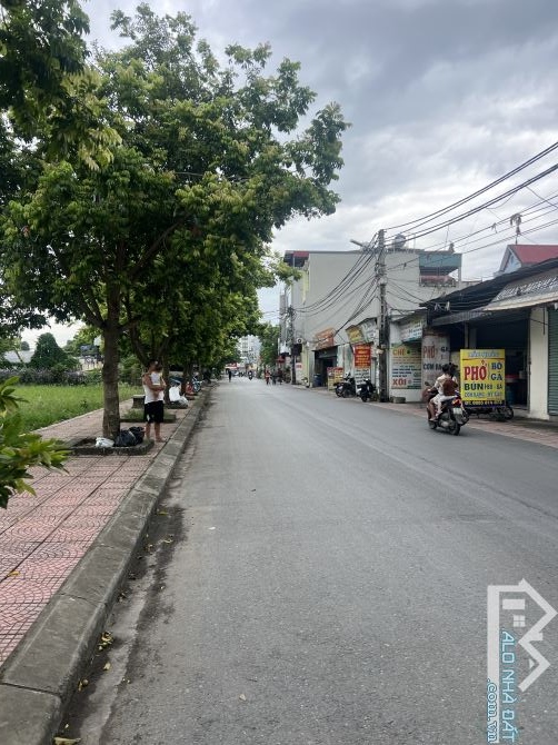 ❤LÔ GÓC KCN QUANG MINH - ĐƯỜNG  TRỤC KINH DOANH SẦM UẤT Ô TÔ TRÁNH - GIÁ NHỈNH 3 TỶ  ❤ - 1
