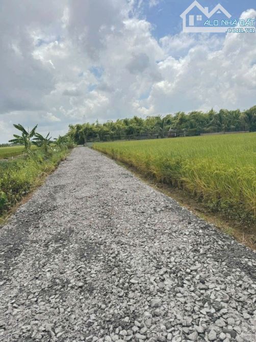 Quá rẻ, 150m2 đất thổ cư View Kênh cực đẹp, 420tr - 1