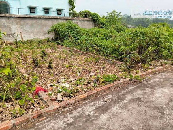 bán 52m đất võng xuyên phúc thọ - 1