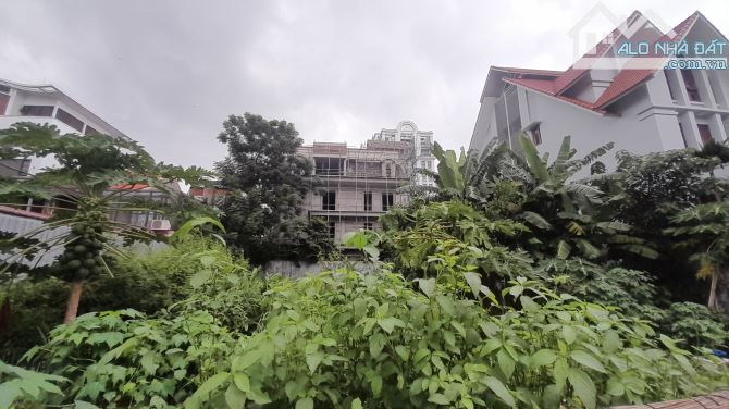 Bán Đất Tuyến 2 Lê Hồng Phong, Ngô Quyền, HP. 115tr, 400m2. - 1