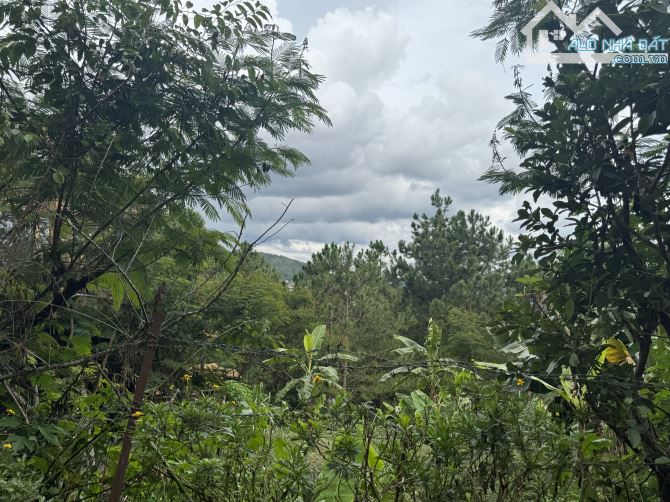 Bán đường Trần Quang Diệu, Phường 10, Đà Lạt view đẹp vĩnh viễn ngay Dinh I - 1