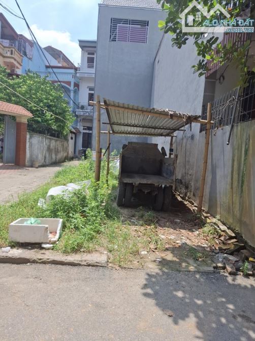 HÀ ĐÔNG - GÀ ĐẺ TRỨNG VÀNG - GIÁP ĐH PHENIKAA - GIÁ  ĐẦU TƯ - 1