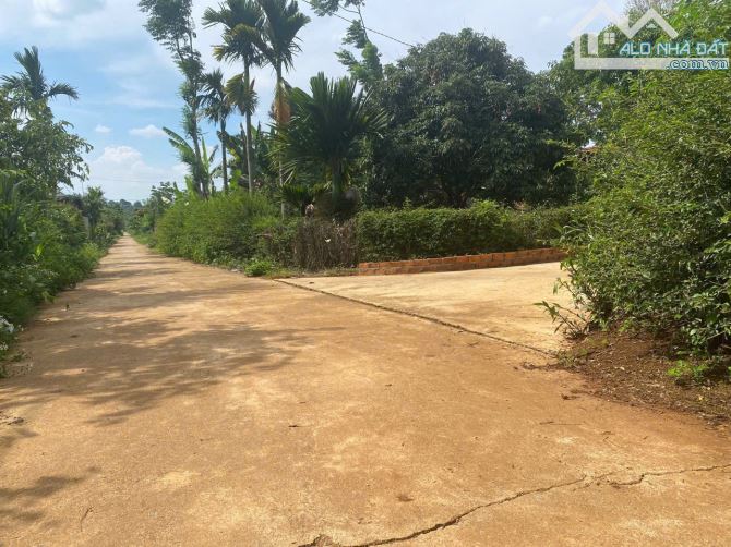 BÁN ĐẤT XÃ HOÀ KHÁNH - CHỈ 299 TRIỆU - 1
