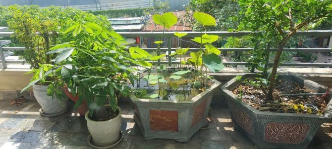 CĂN GÓC 2 MẶT TIỀN 2 SỔ QUÁN CAFE + CĂN NHÀ 3 TẦNG CAO CẤP, KHU VINCOM 550 NHÀ PHỐ DĨ AN - 1