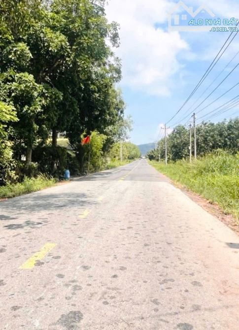 Bán vườn sầu riêng trồng 1 năm diện tích 1,2 hecta giá chỉ 3 tỷ - 1