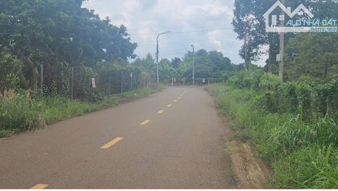 Bán đất sẵn vườn cây trái mặt tiền nhựa xã Đất Đỏ (Long Tân cũ), tp Hồ Chí Minh - 1