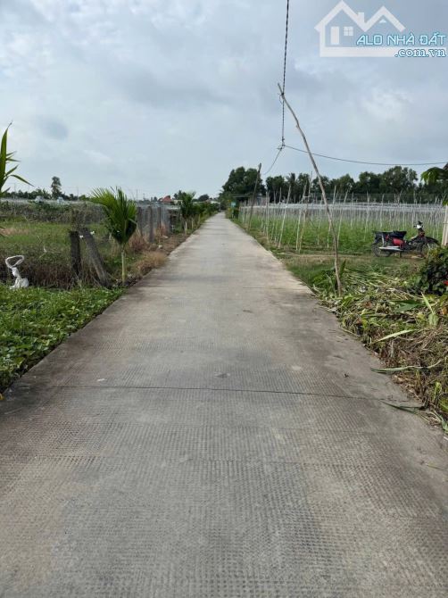 ✅ Bán 2 lô F0 đất thổ cách 827B 70m Thuộc Phú Xuân 2 , Phú Ngãi Trị ,Châu Thành _ DT: 5x30 - 1