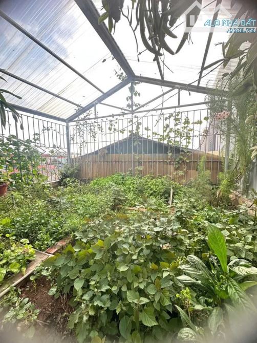 BÁN NHÀ THANH XUÂN, BÙI XƯƠNG TRẠCH. MẶT TIỀN RỘNG, 30M2, GIÁ QUÁ TỐT. - 1