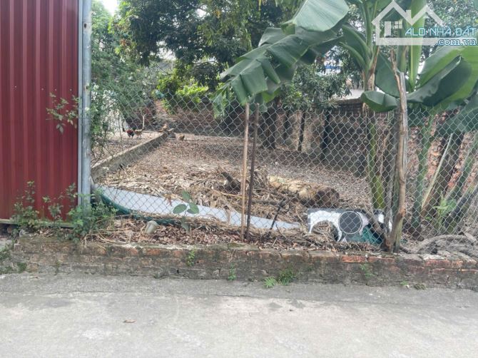 🏠🏠Chủ cần tiền giảm giá lô Đat tại thôn tiên xá 3 xã Cẩm xá thị xã Mỹ hào 👍Diện tích lô - 1
