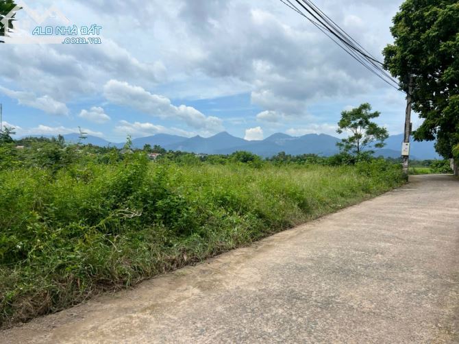 Chính chủ cần bán đất tại thôn Quế, xã Hướng Đạo, huyện Tam Dương, tỉnh Vĩnh Phúc