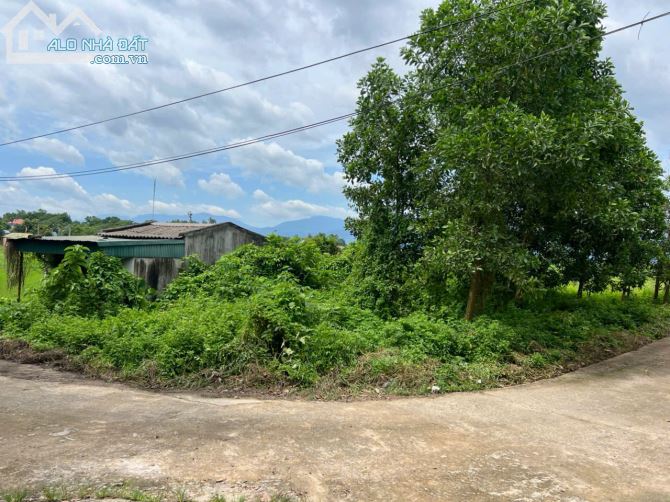 Chính chủ cần bán đất tại thôn Quế, xã Hướng Đạo, huyện Tam Dương, tỉnh Vĩnh Phúc - 1