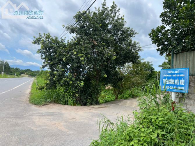 Chính chủ cần bán đất tại thôn Quế, xã Hướng Đạo, huyện Tam Dương, tỉnh Vĩnh Phúc - 2