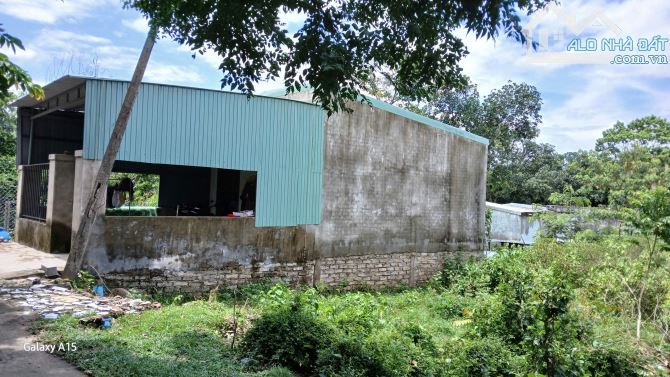 BÁN ĐẤT TẶNG NHÀ CẤP 4 – PHÚ THƯỢNG, HÒA KHÁNH – Ô TÔ TỚI TẬN NƠI - HVG004 - 2