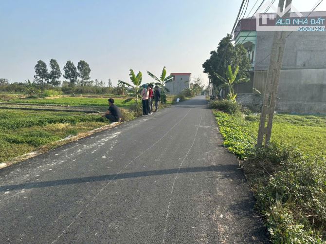Bán 1 cặp góc Trục chính Quỳnh Đôi, Kim Chân, Băc Ninh / Dt 240m2 MT 10m Giá 7,3 tỷ - 2