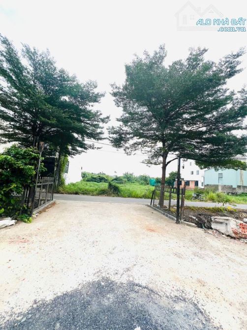 Đât ngay khu picity tx13, 214m2 thô cư 131m2 - 2