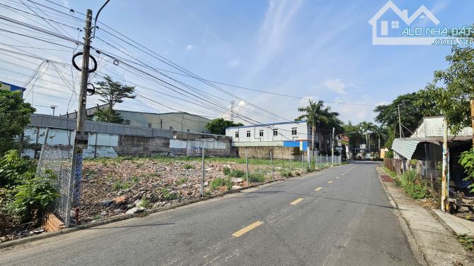 lô đất 151m2 3ty2 và 298,8m2 6ty3 gần ngã tư Miếu Ông Cù 500m, p.Tân Phước Khánh - 2